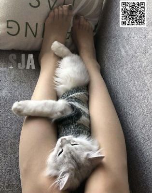 今天高清视频播放的软件有哪些_1080P完整视频观看